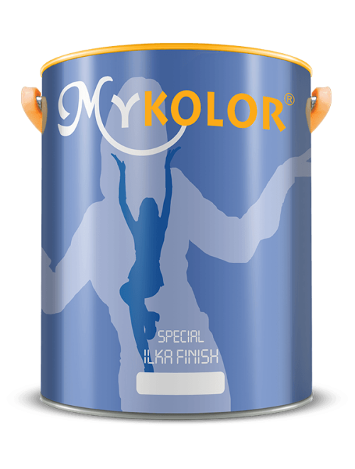 MYKOLOR TOUCH ILKA FINISH1